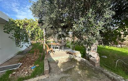 Düşük Kiralı/Devren Kiralık Gıda Üretim ve Soğukhava Tesisi