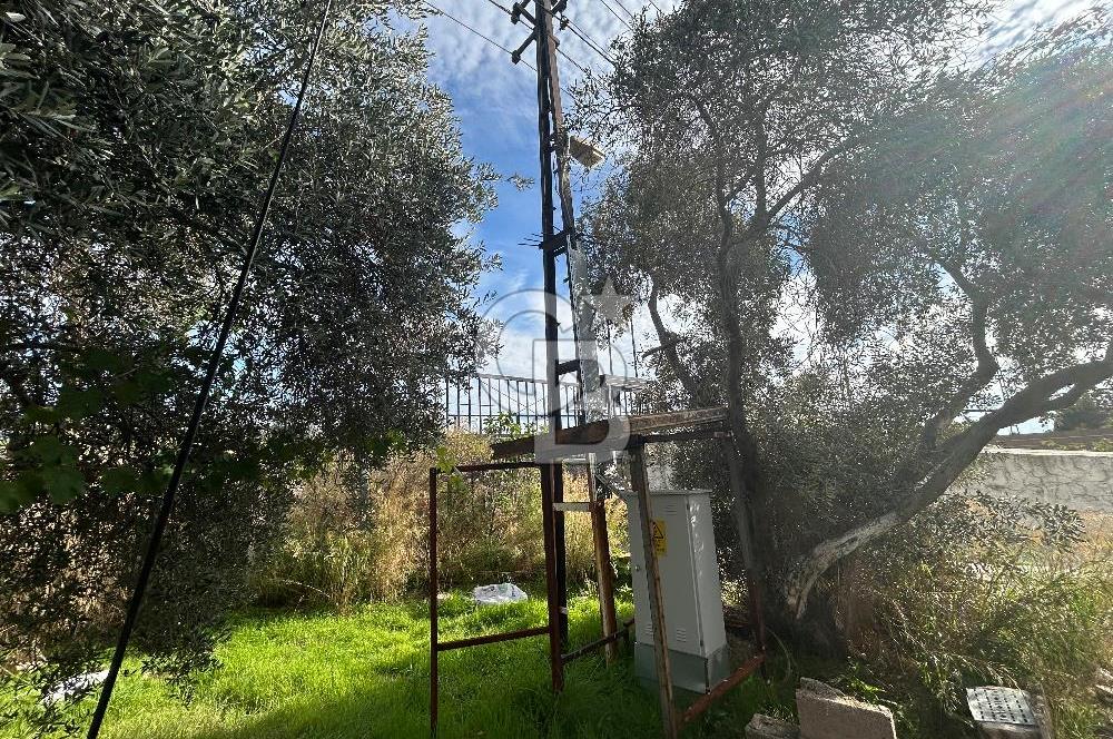 Düşük Kiralı/Devren Kiralık Gıda Üretim ve Soğukhava Tesisi