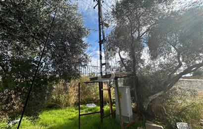 Düşük Kiralı/Devren Kiralık Gıda Üretim ve Soğukhava Tesisi