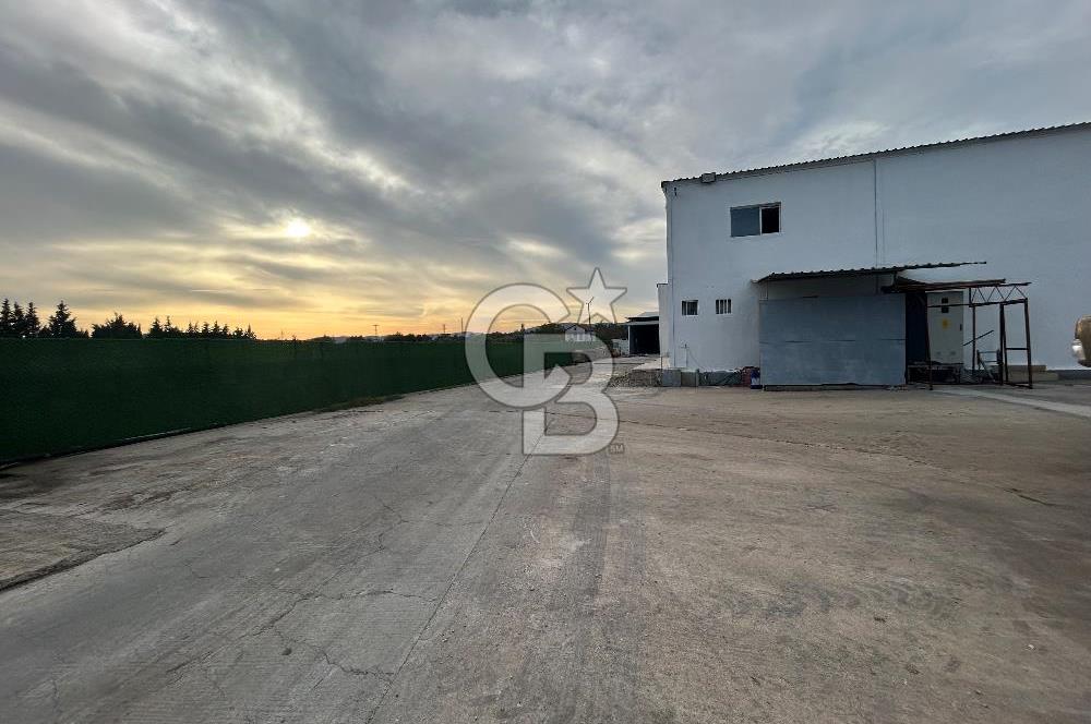 Düşük Kiralı/Devren Kiralık Gıda Üretim ve Soğukhava Tesisi