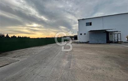 Düşük Kiralı/Devren Kiralık Gıda Üretim ve Soğukhava Tesisi