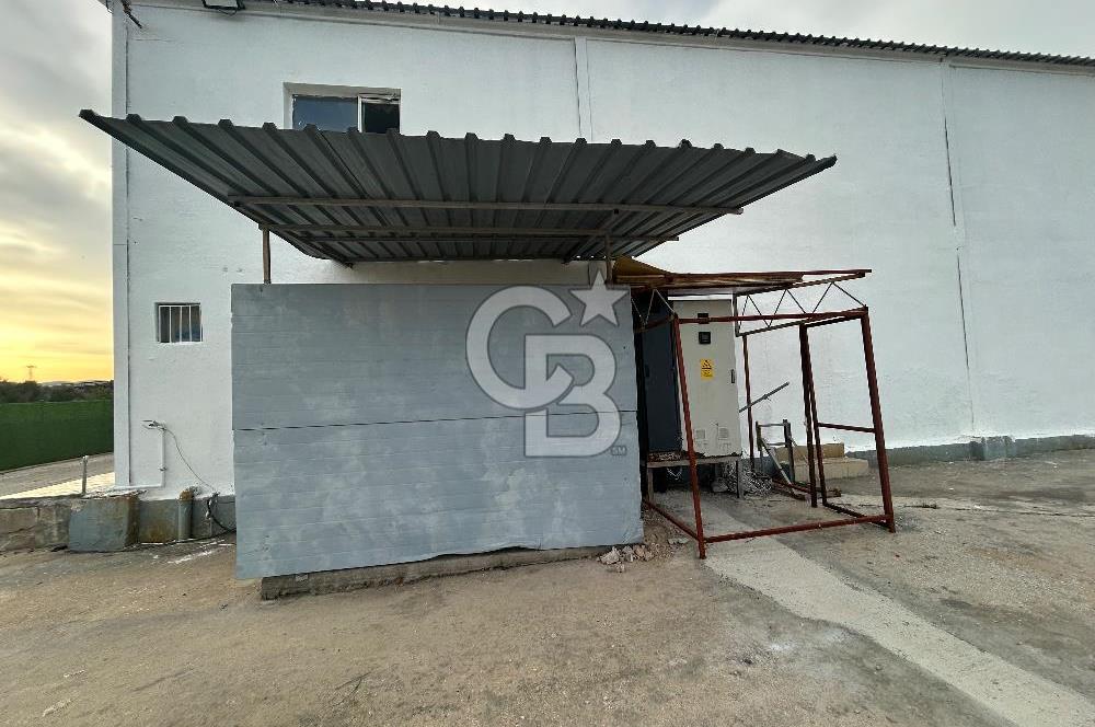 Düşük Kiralı/Devren Kiralık Gıda Üretim ve Soğukhava Tesisi