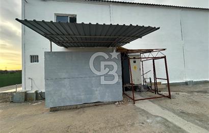 Düşük Kiralı/Devren Kiralık Gıda Üretim ve Soğukhava Tesisi