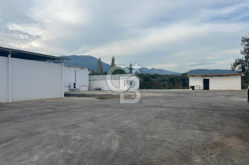 Düşük Kiralı/Devren Kiralık Gıda Üretim ve Soğukhava Tesisi