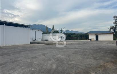 Düşük Kiralı/Devren Kiralık Gıda Üretim ve Soğukhava Tesisi