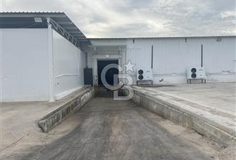 Düşük Kiralı/Devren Kiralık Gıda Üretim ve Soğukhava Tesisi - 1 - 320271