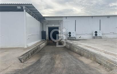 Düşük Kiralı/Devren Kiralık Gıda Üretim ve Soğukhava Tesisi