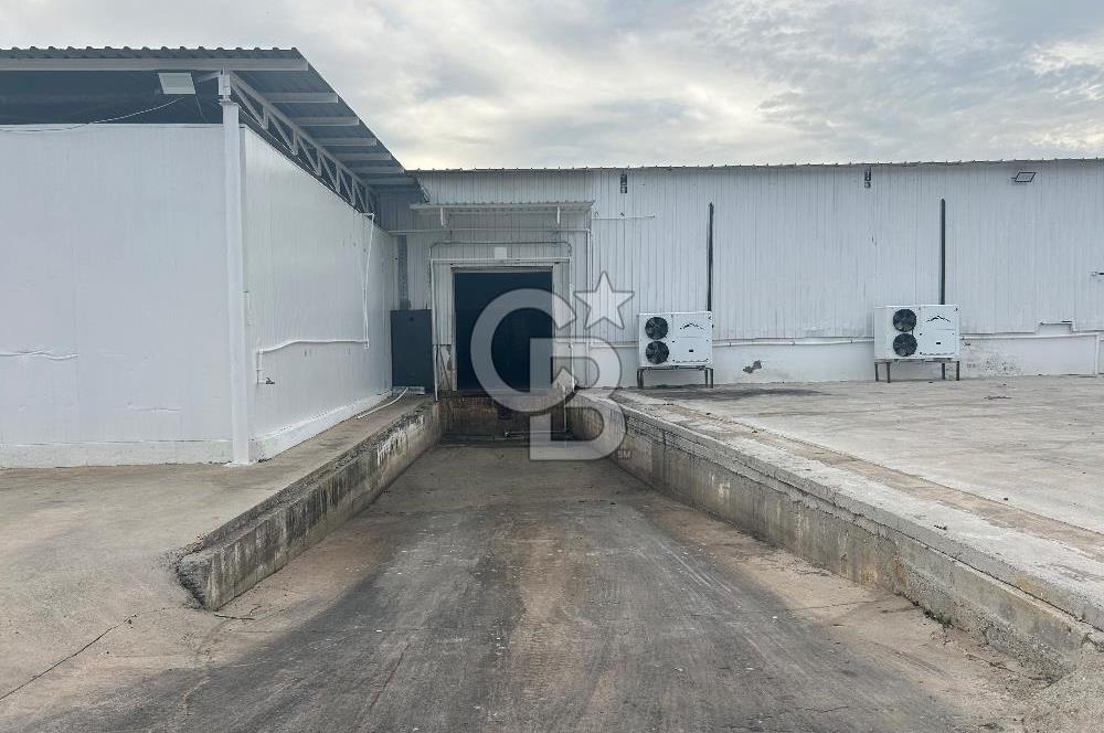 Düşük Kiralı/Devren Kiralık Gıda Üretim ve Soğukhava Tesisi