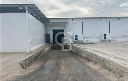 Düşük Kiralı/Devren Kiralık Gıda Üretim ve Soğukhava Tesisi