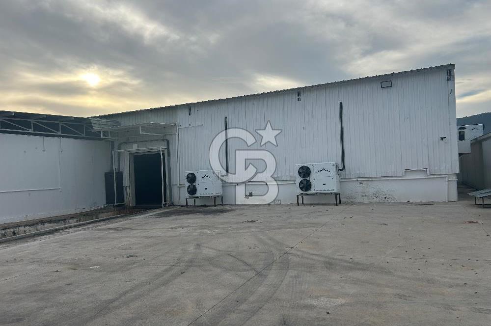 Düşük Kiralı/Devren Kiralık Gıda Üretim ve Soğukhava Tesisi