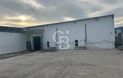 Düşük Kiralı/Devren Kiralık Gıda Üretim ve Soğukhava Tesisi