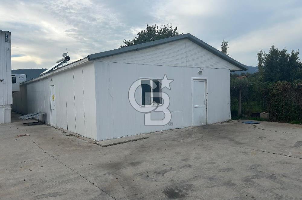 Düşük Kiralı/Devren Kiralık Gıda Üretim ve Soğukhava Tesisi