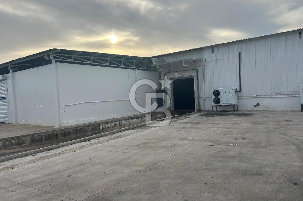 Düşük Kiralı/Devren Kiralık Gıda Üretim ve Soğukhava Tesisi