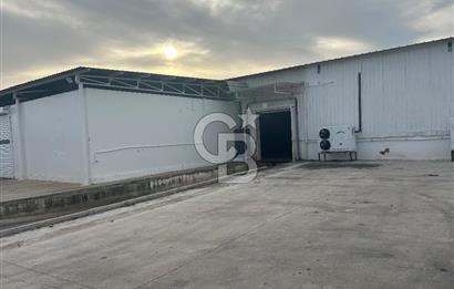 Düşük Kiralı/Devren Kiralık Gıda Üretim ve Soğukhava Tesisi