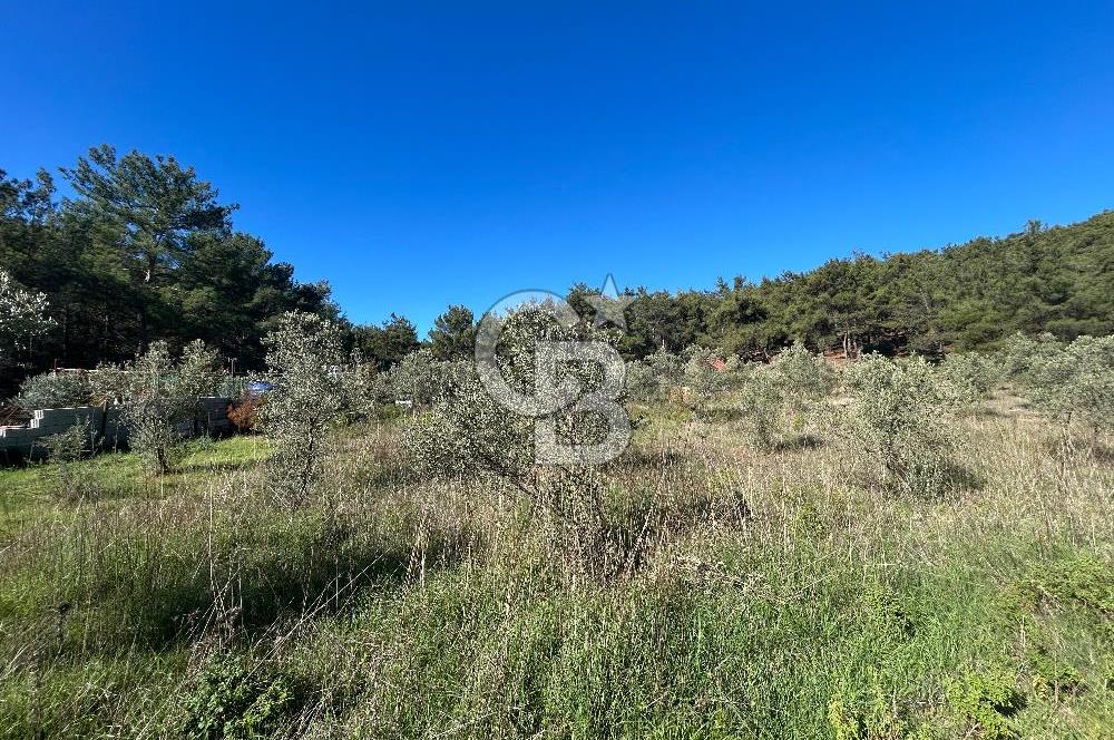 Menderes Yeniköy’de Satılık Tek tapu Tarla