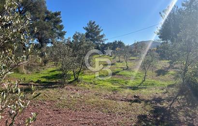 Menderes Yeniköy’de Satılık Tek tapu Tarla