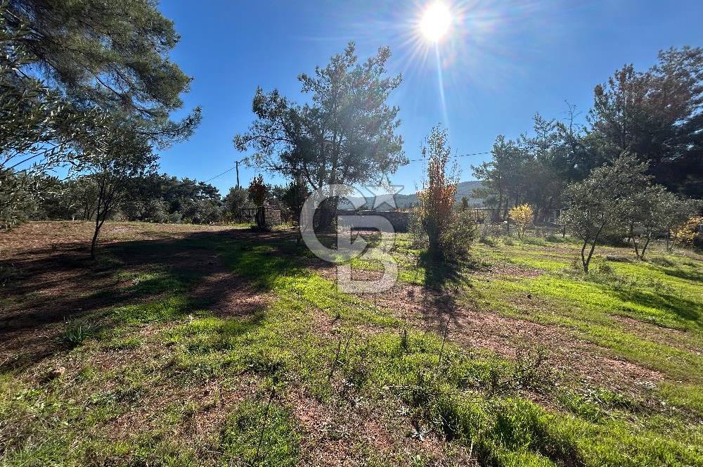 Menderes Yeniköy’de Satılık Tek tapu Tarla