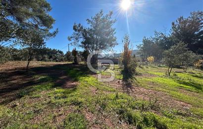 Menderes Yeniköy’de Satılık Tek tapu Tarla