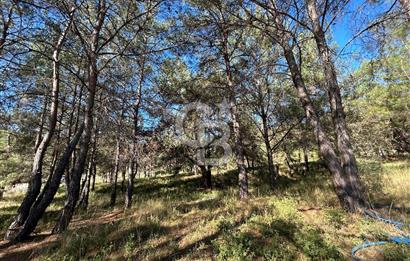 Menderes Yeniköy’de Satılık Tek tapu Tarla