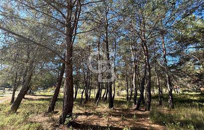 Menderes Yeniköy’de Satılık Tek tapu Tarla