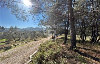 Menderes Yeniköy’de Satılık Tek tapu Tarla