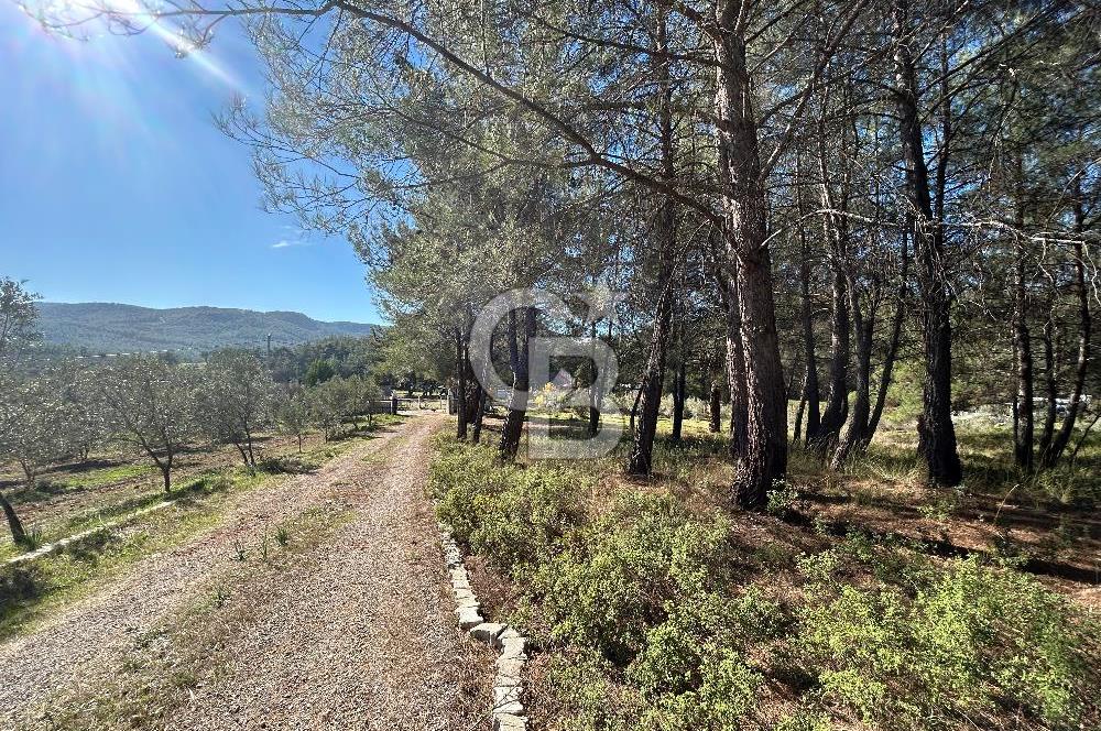 Menderes Yeniköy’de Satılık Tek tapu Tarla