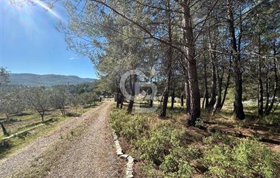 Menderes Yeniköy’de Satılık Tek tapu Tarla