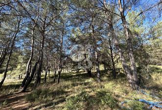 Menderes Yeniköy’de Satılık Tek tapu Tarla - 6 - 320284