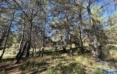 Menderes Yeniköy’de Satılık Tek tapu Tarla