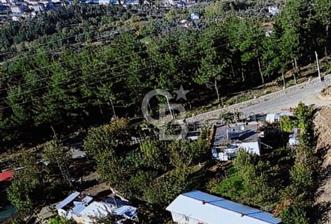 Ulaşlı' da İçinde Bağ Evi Bulunan 638 M2 Satılık Arsa - 10 - 320275