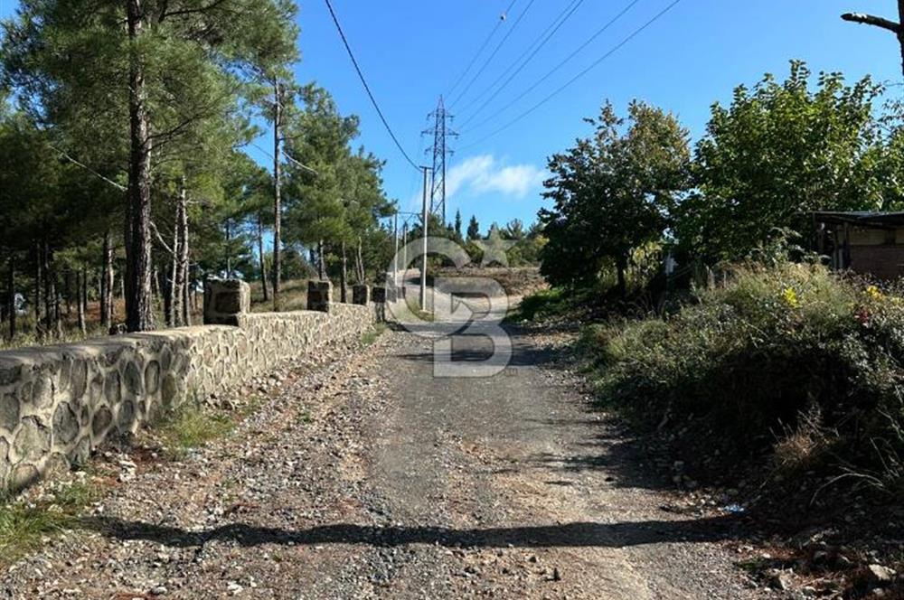 Ulaşlı' da İçinde Bağ Evi Bulunan 638 M2 Satılık Arsa