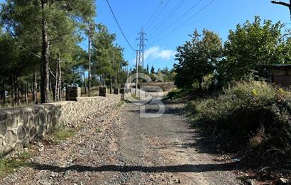 Ulaşlı' da İçinde Bağ Evi Bulunan 638 M2 Satılık Arsa