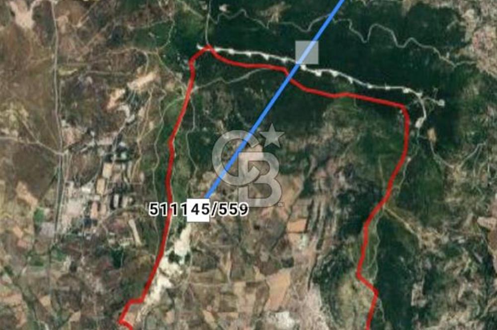 İzmir Foça Kocamehmetler Köy İçi Arsa