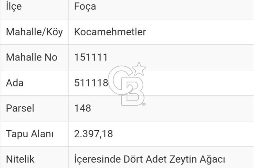 İzmir Foça Kocamehmetler Satılık Tarla