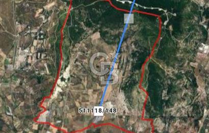 İzmir Foça Kocamehmetler Satılık Tarla