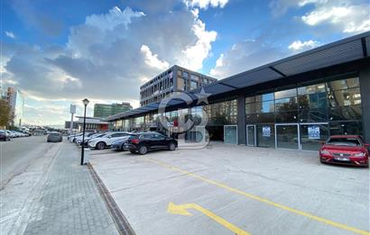 (AUTOZONE) ANADOLU BULVARINA CEPHE TABELA DEĞERİ YÜKSEK DÜKKAN