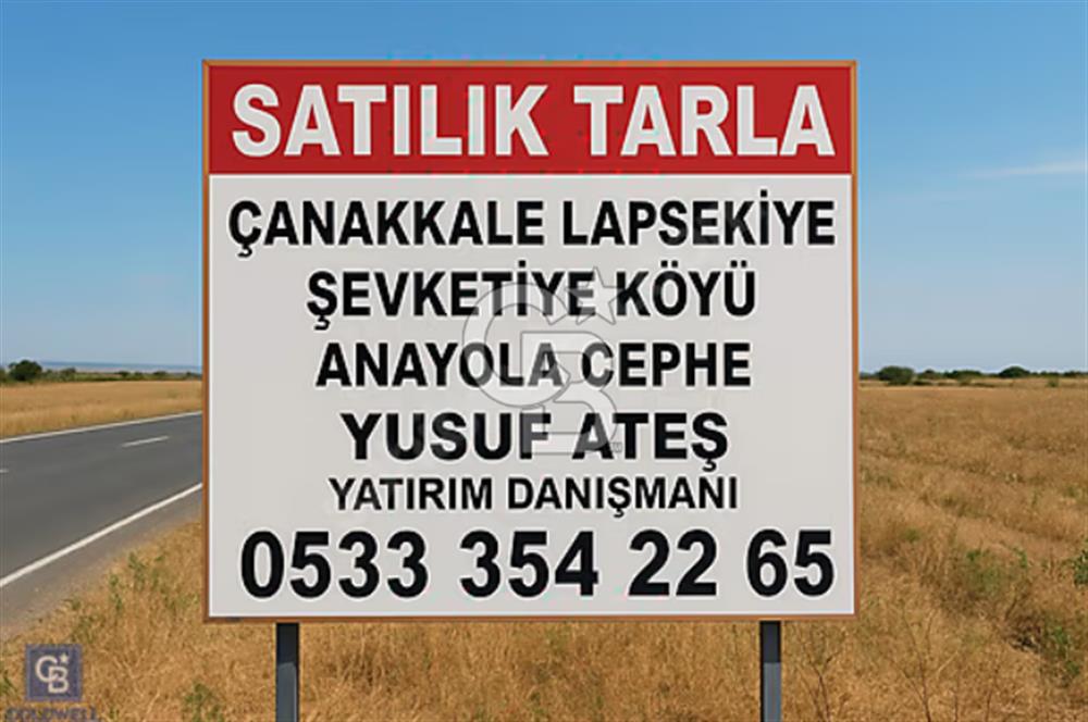 ACİL Çanakkale Lapseki Şevketiye Köyünde Satılık Tarla