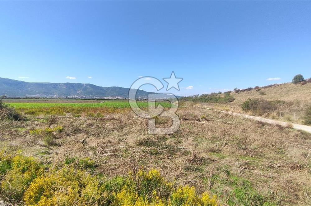 İZMİR TORBALI YENİKÖY SATILIK 2.410 M2 MÜSTAKİL TAPULU TARLA
