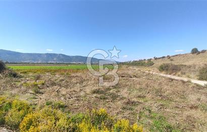 İZMİR TORBALI YENİKÖY SATILIK 2.410 M2 MÜSTAKİL TAPULU TARLA