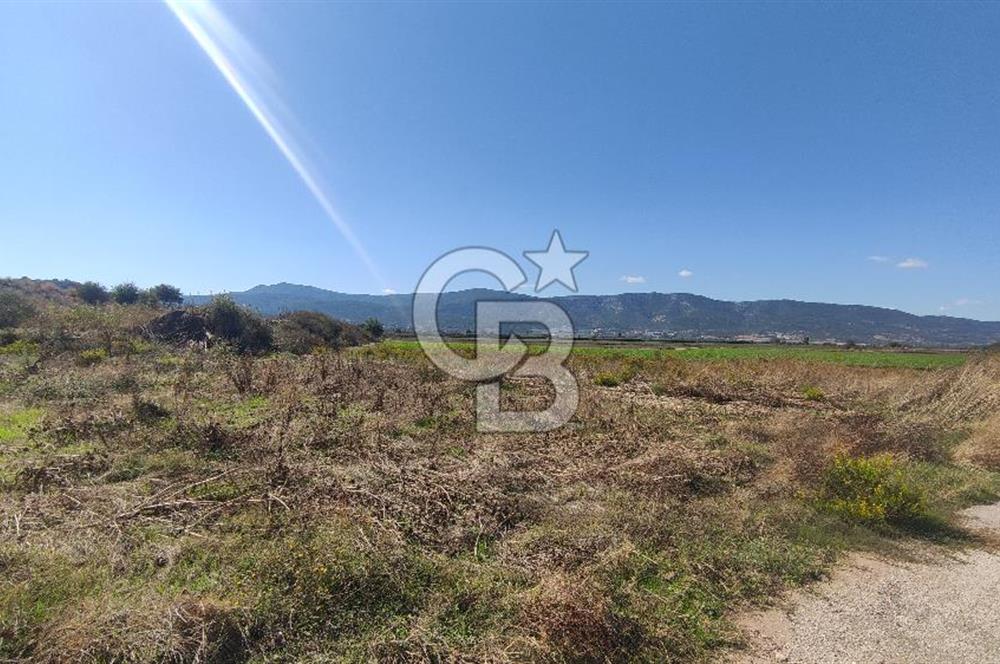 İZMİR TORBALI YENİKÖY SATILIK 2.410 M2 MÜSTAKİL TAPULU TARLA