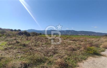 İZMİR TORBALI YENİKÖY SATILIK 2.410 M2 MÜSTAKİL TAPULU TARLA