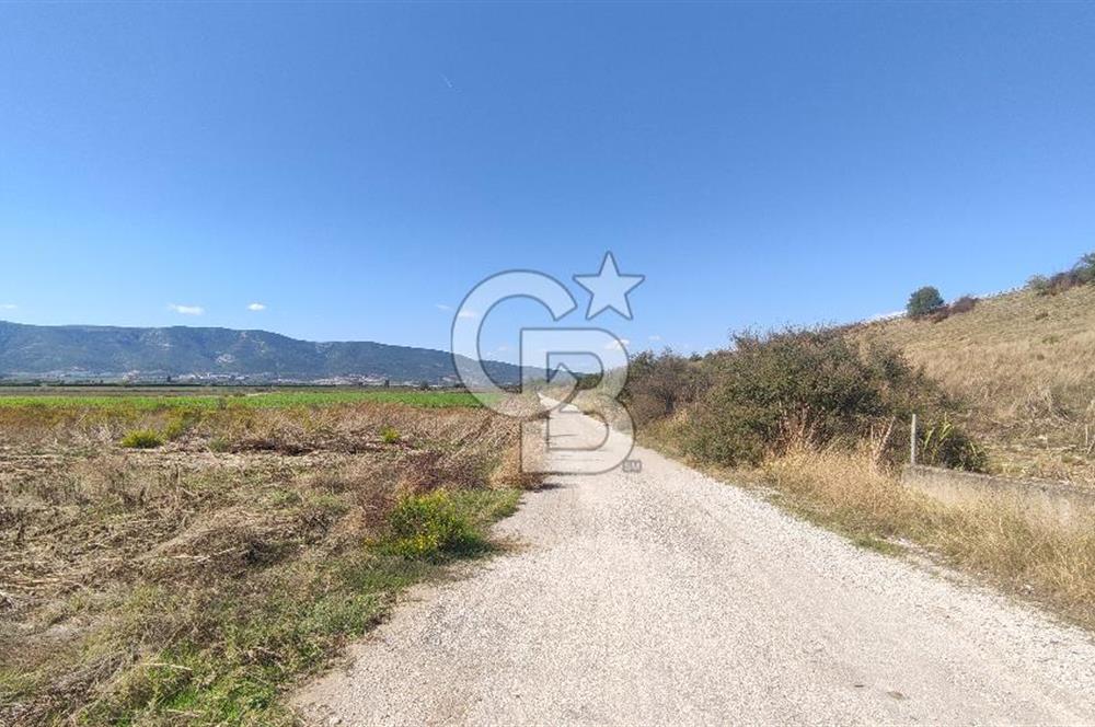 İZMİR TORBALI YENİKÖY SATILIK 2.410 M2 MÜSTAKİL TAPULU TARLA