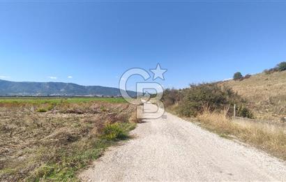 İZMİR TORBALI YENİKÖY SATILIK 2.410 M2 MÜSTAKİL TAPULU TARLA