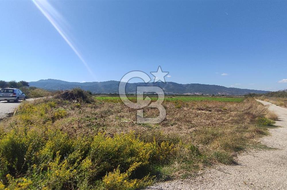 İZMİR TORBALI YENİKÖY SATILIK 2.410 M2 MÜSTAKİL TAPULU TARLA