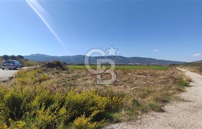 İZMİR TORBALI YENİKÖY SATILIK 2.410 M2 MÜSTAKİL TAPULU TARLA