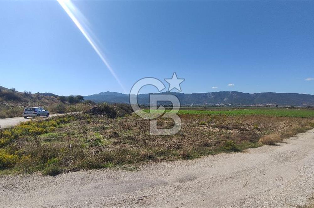 İZMİR TORBALI YENİKÖY SATILIK 2.410 M2 MÜSTAKİL TAPULU TARLA