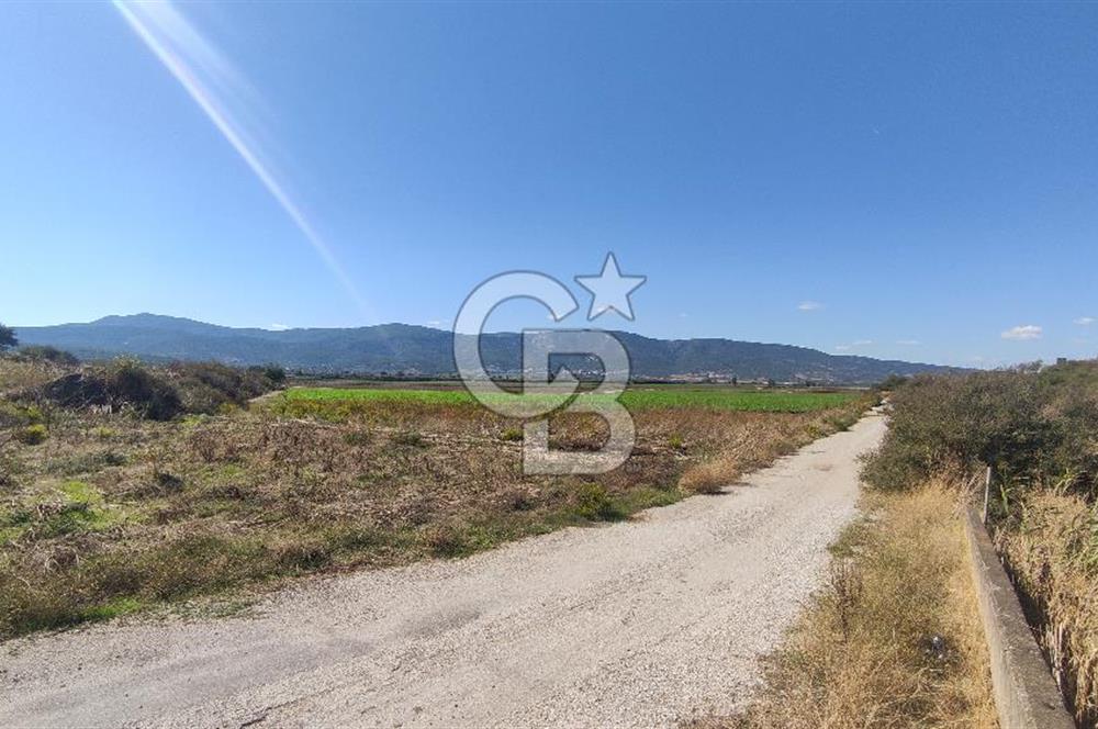 İZMİR TORBALI YENİKÖY SATILIK 2.410 M2 MÜSTAKİL TAPULU TARLA