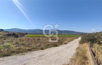 İZMİR TORBALI YENİKÖY SATILIK 2.410 M2 MÜSTAKİL TAPULU TARLA