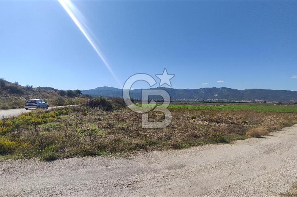 İZMİR TORBALI YENİKÖY SATILIK 2.410 M2 MÜSTAKİL TAPULU TARLA