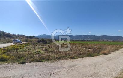 İZMİR TORBALI YENİKÖY SATILIK 2.410 M2 MÜSTAKİL TAPULU TARLA